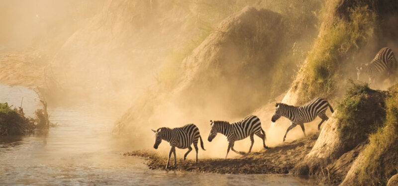 7-Day Kenya Wildlife Safari