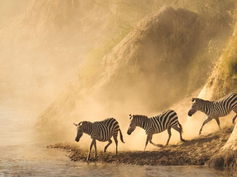 7-Day Kenya Wildlife Safari