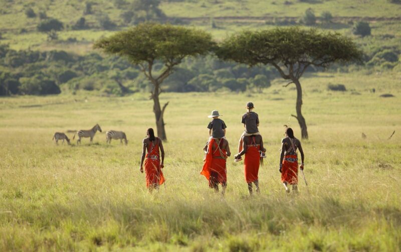 Tanzania Northern Circuit Safari