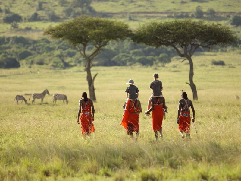 Tanzania Northern Circuit Safari