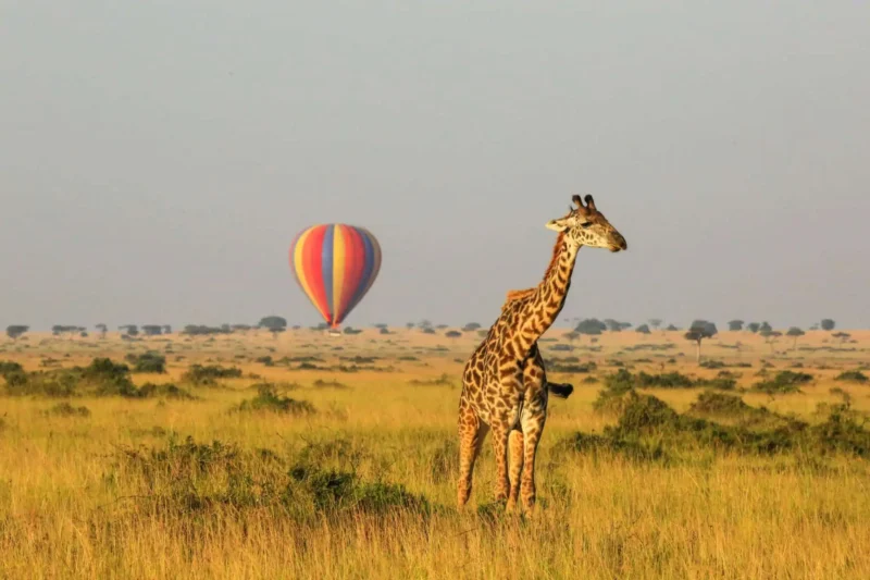 Tanzania Wilderness Luxury Safari