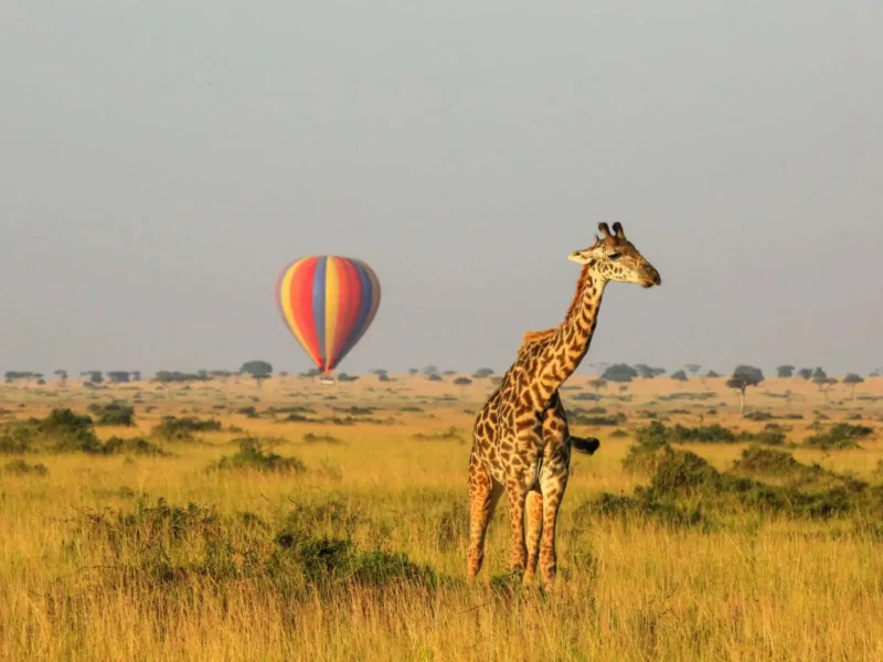 Tanzania Wilderness Luxury Safari