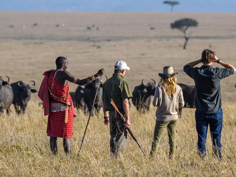 5-Day Kenya Wildlife Safari