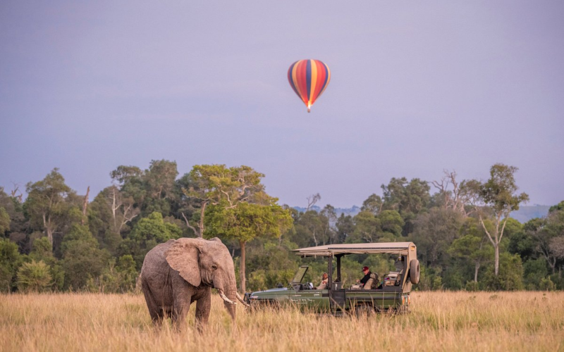 Best Tanzania Big5 Safari