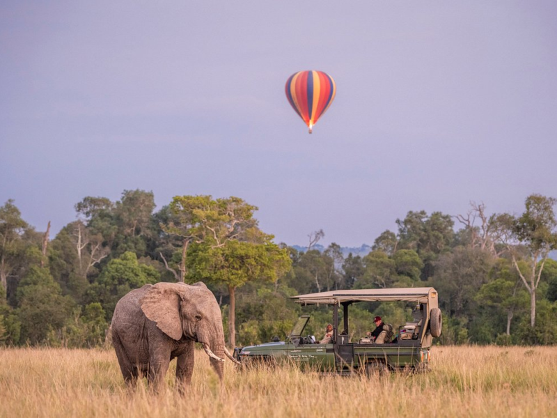 Best Tanzania Big5 Safari