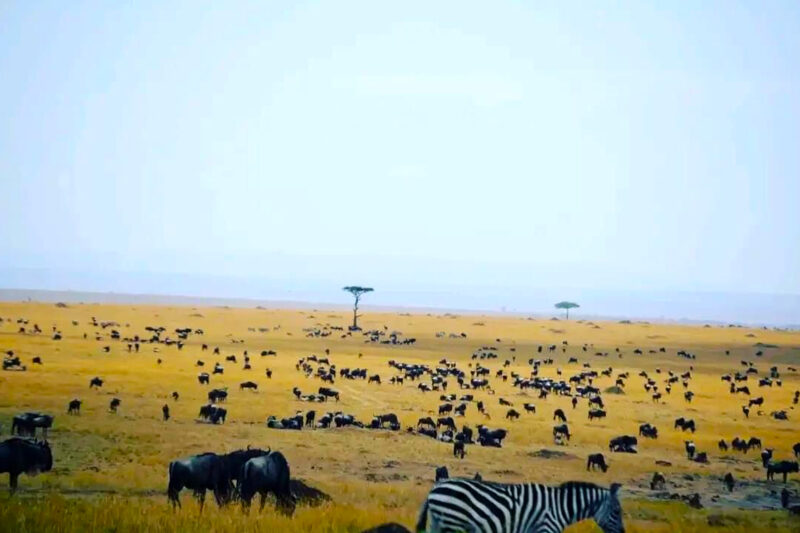10-Day Kenya Adventure Safari