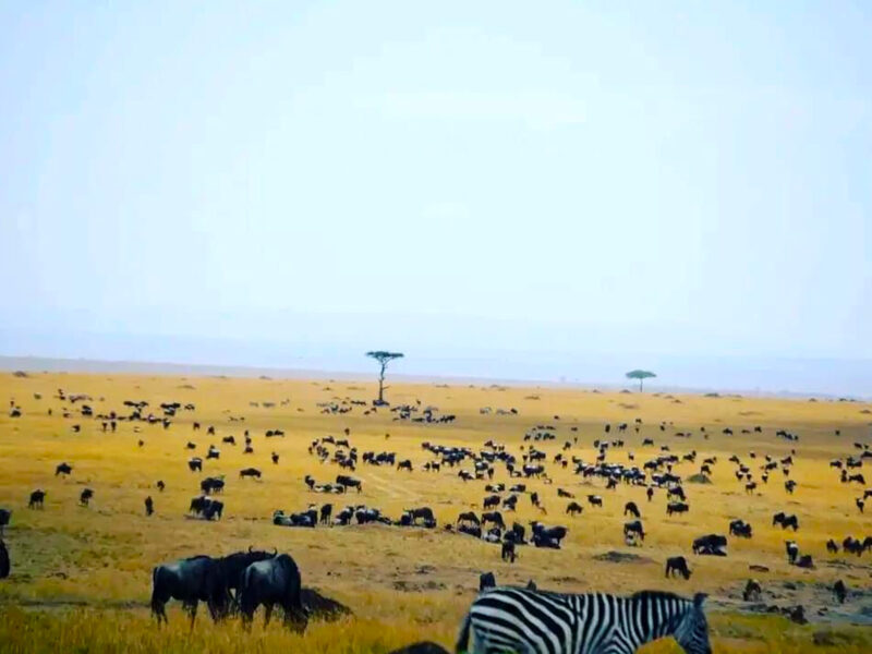 10-Day Kenya Adventure Safari