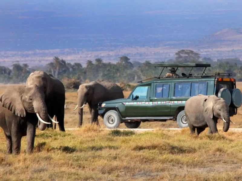 8-Day Luxury Kenya Safari