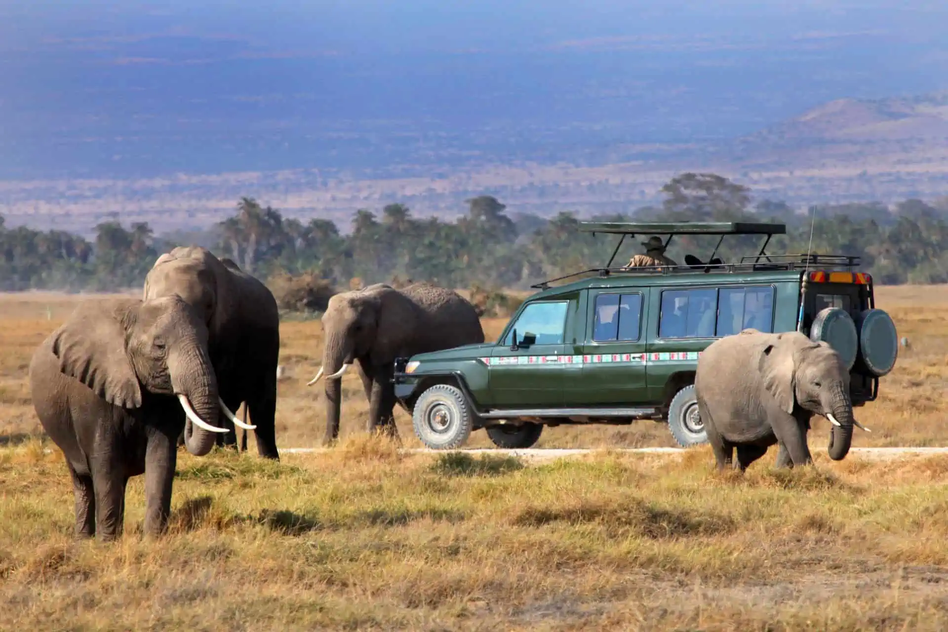 8-Day Luxury Kenya Safari