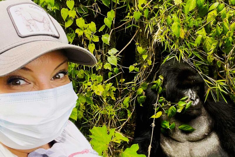 Uganda Primate Tracking Safari