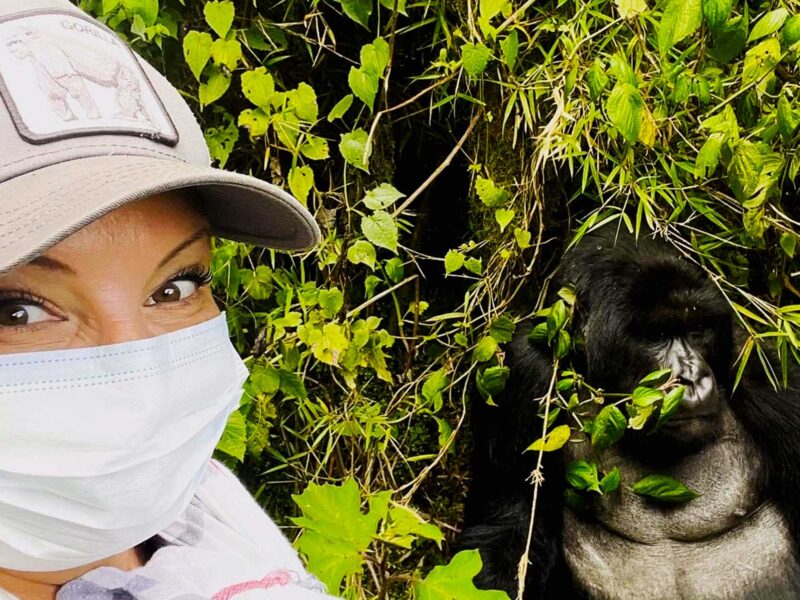 Uganda Primate Tracking Safari