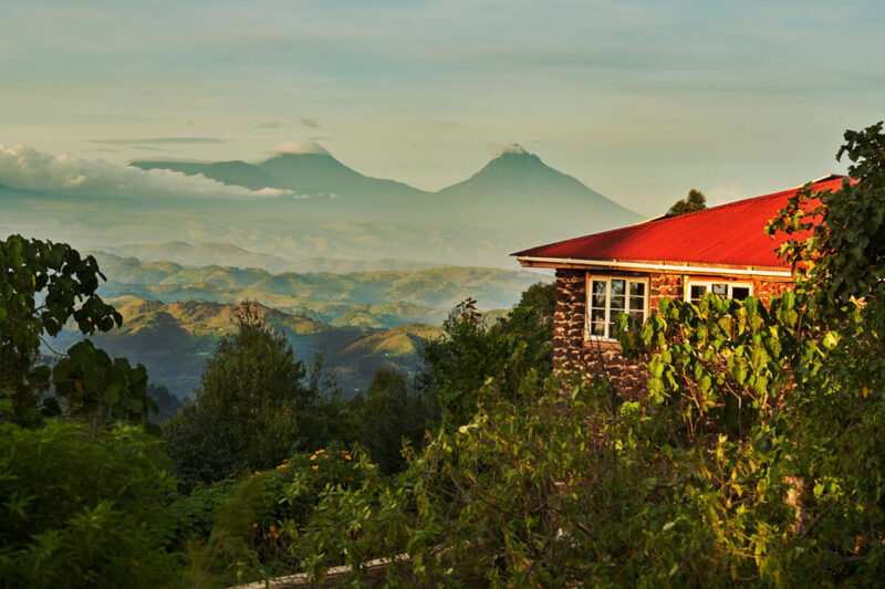 Game Drives & Gorilla Safari