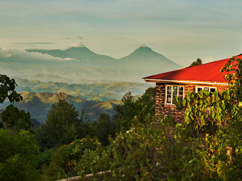 Game Drives & Gorilla Safari