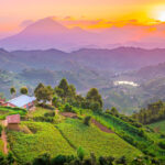 What Is the Best Time for a Cultural Tour?