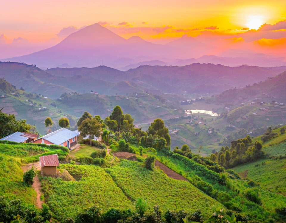 What Is the Best Time for a Cultural Tour?