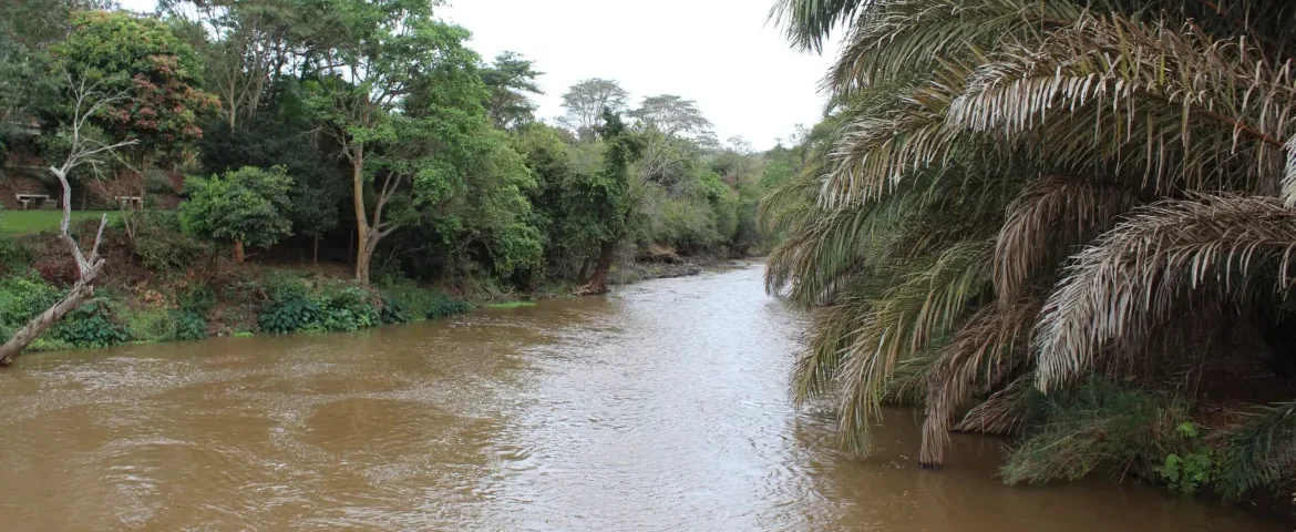 Where Does the River Sagana Come From in Kenya?