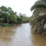 Where Does the River Sagana Come From in Kenya?