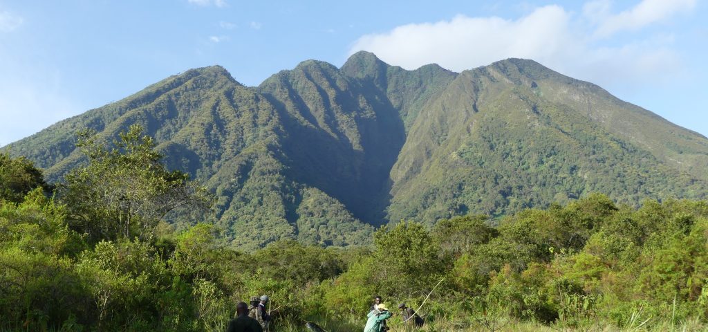 Mgahinga Gorilla National Park Uganda Hiking Safari