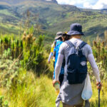 Mount Elgon National Park Uganda Hiking Safari