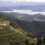 Should I Travel to Rwanda or Uganda?