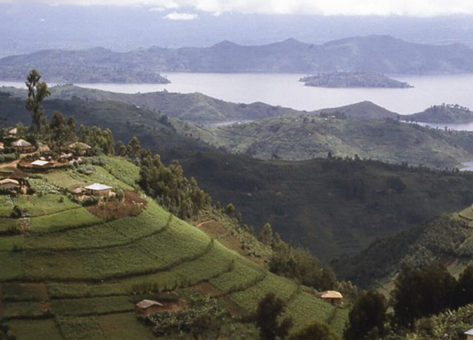 Should I Travel to Rwanda or Uganda?