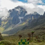 Rwenzori Mountains National Park Uganda Hiking Safari