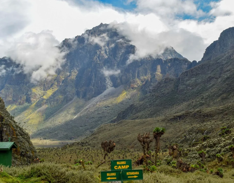 Rwenzori Mountains National Park Uganda Hiking Safari