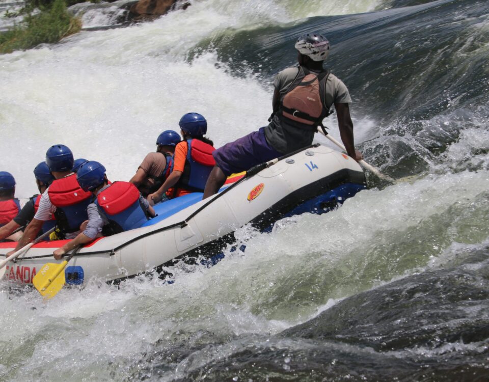 When Is the Best Time to Go for a Uganda Whitewater Rafting Safari?