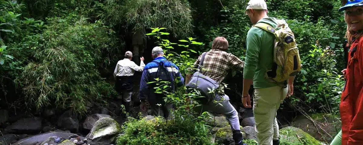 What to Wear on a Gorilla Trek in Uganda