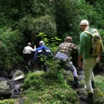 What to Wear on a Gorilla Trek in Uganda