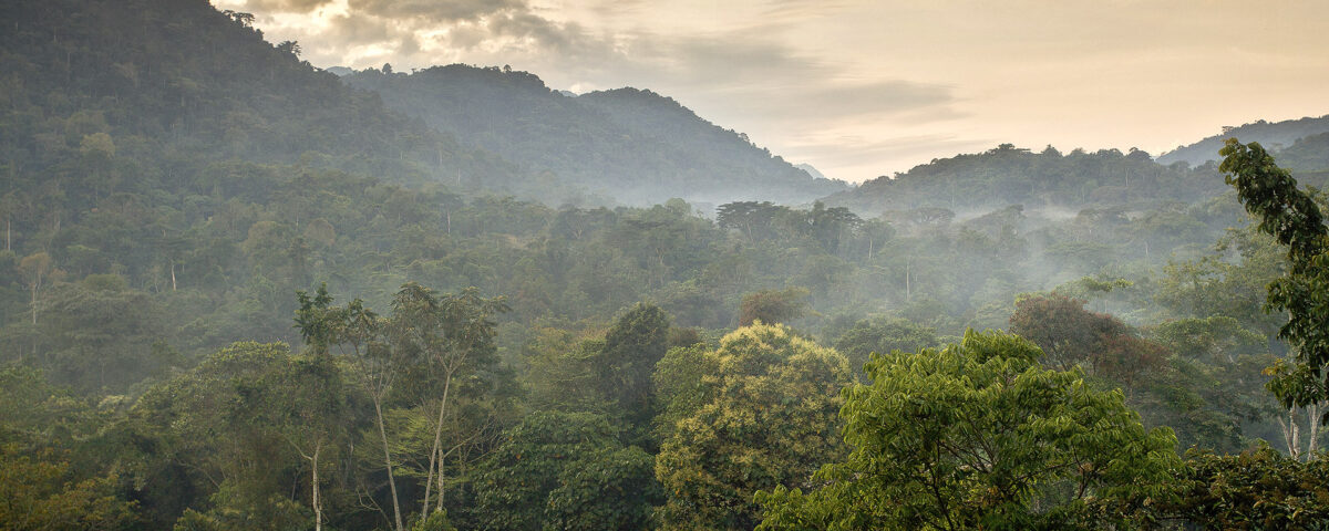 What Are the Best Uganda Safari Destinations?