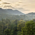 What Are the Best Uganda Safari Destinations?