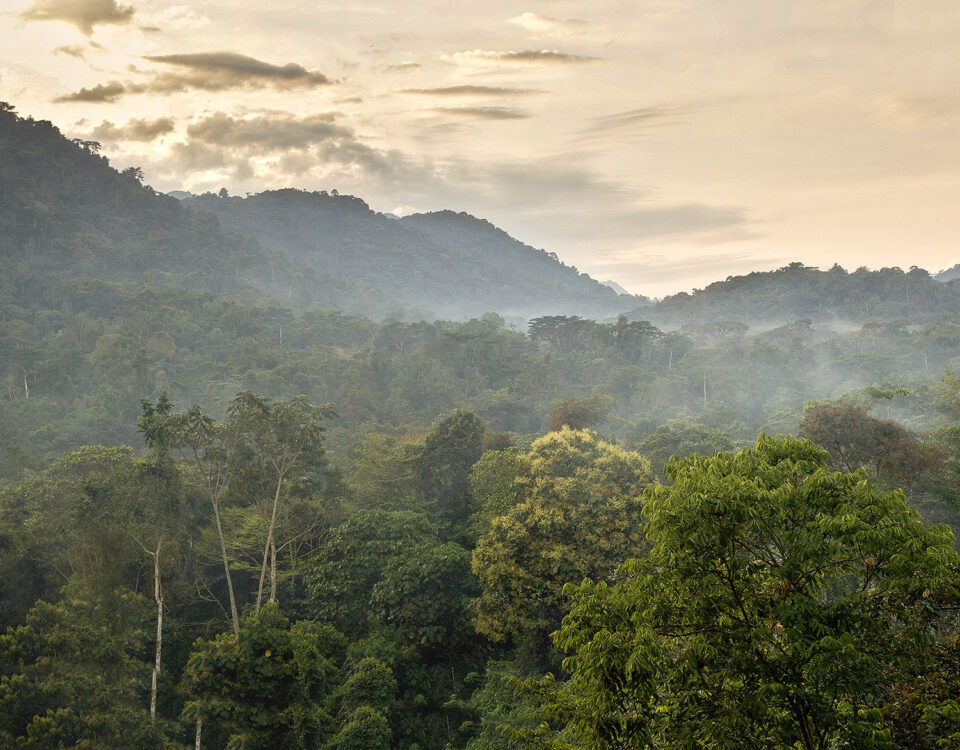 What Are the Best Uganda Safari Destinations?