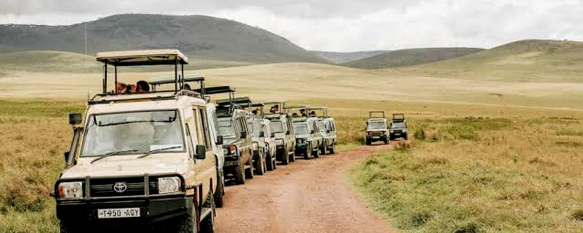 How Do I Book a Reliable Uganda Safari Tour?