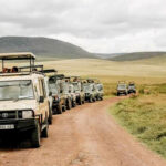 How Do I Book a Reliable Uganda Safari Tour?