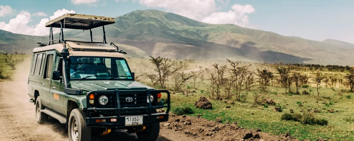 What Is the Best Month to Go on an African Safari?