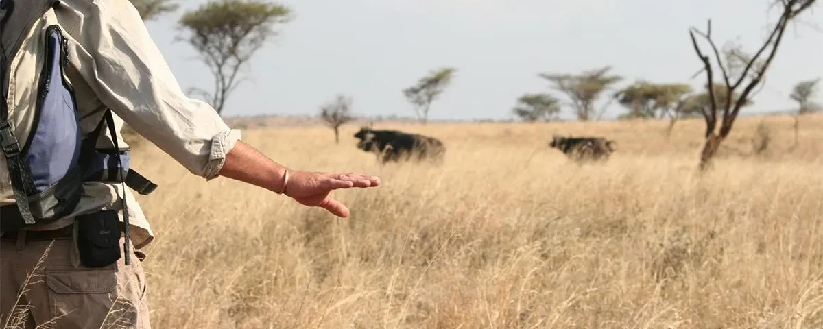 How Many Days Is Enough for Serengeti?