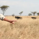 How Many Days Is Enough for Serengeti?