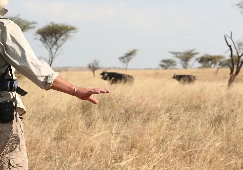 How Many Days Is Enough for Serengeti?