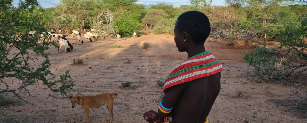 How Can I Support Local Communities?