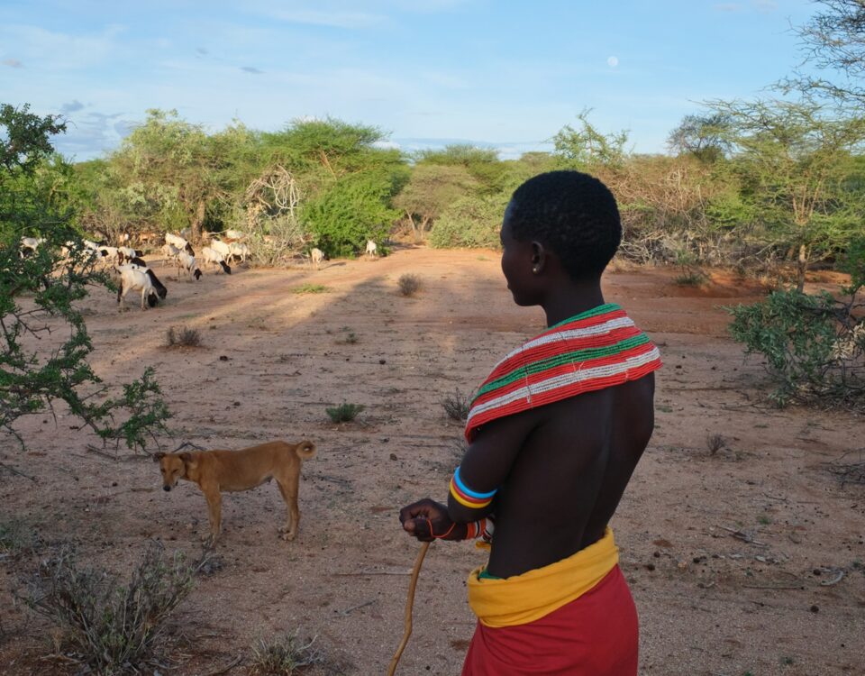 How Can I Support Local Communities?