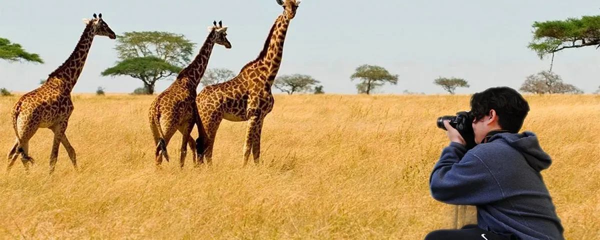 What Are the Rules for Safari in Tanzania?