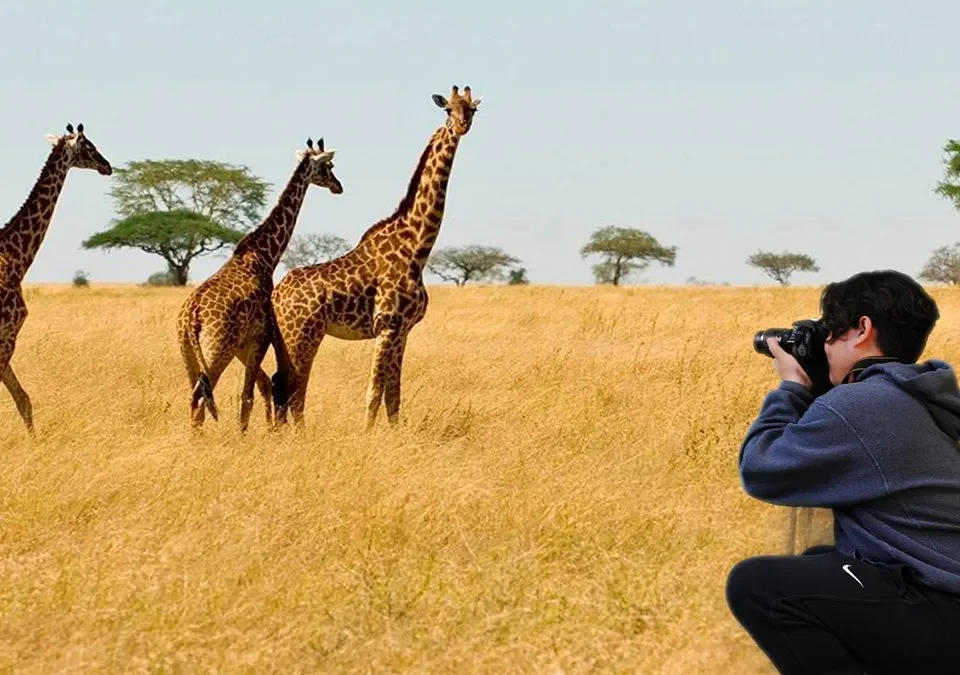What Are the Rules for Safari in Tanzania?