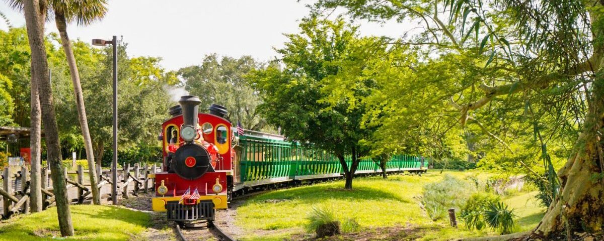 How Long Is the Serengeti Train Ride?