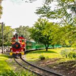 How Long Is the Serengeti Train Ride?