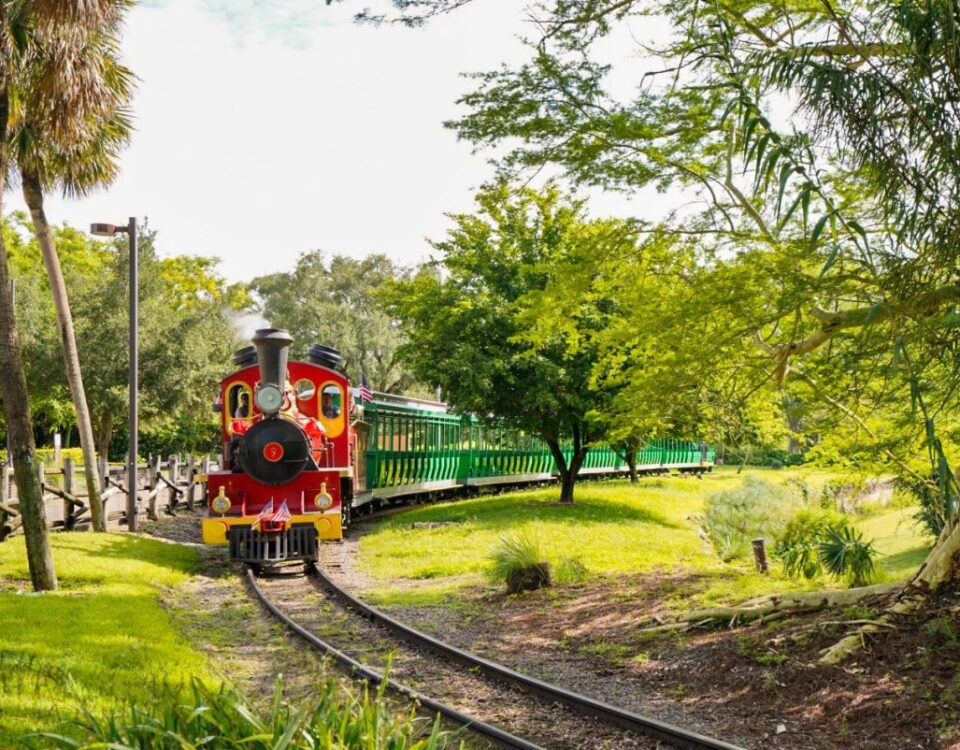 How Long Is the Serengeti Train Ride?