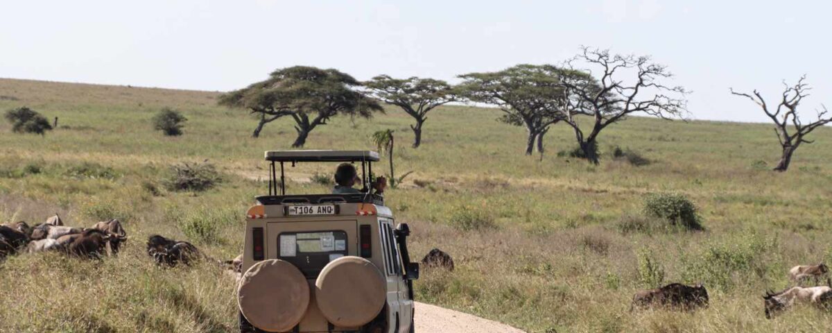 What Is the Cheapest Way to Visit Serengeti?