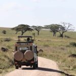 What Is the Cheapest Way to Visit Serengeti?