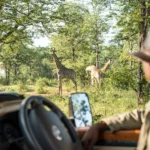 How Much Should I Tip My Safari Driver?