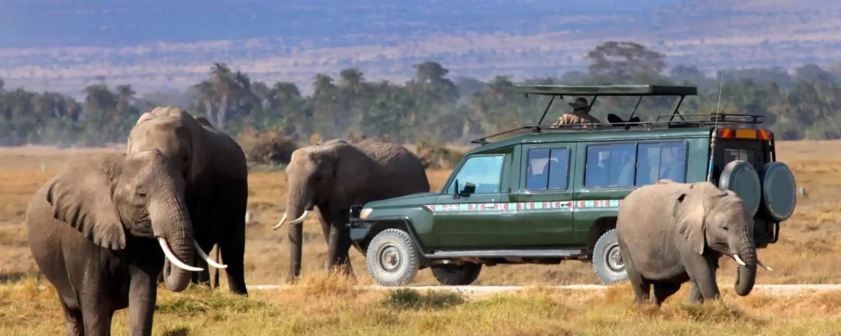 Do I Need a Visa for My Journey with Firante Gorilla Treks?